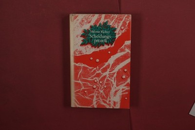 425458 Helmut Richter SCHEIDUNGSPROZESS Mitteldeutscher Verlag HC
