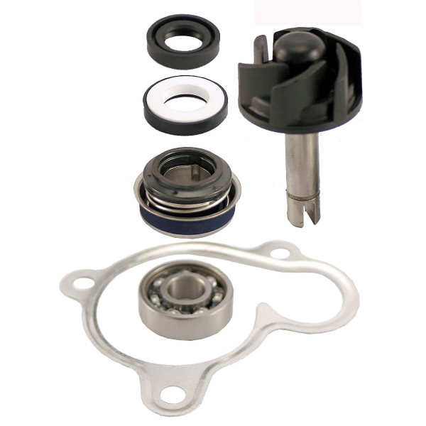 KIT ÜBerholung Wasserpumpe Aprilia Leonardo Motor Yamaha 250 1999 2001-image