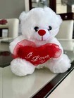 I Love You 6" White Teddy Bear with Heart Plush — photo 1