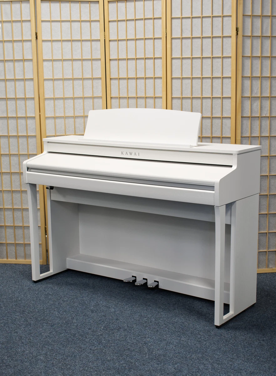 Kawai 49 2024