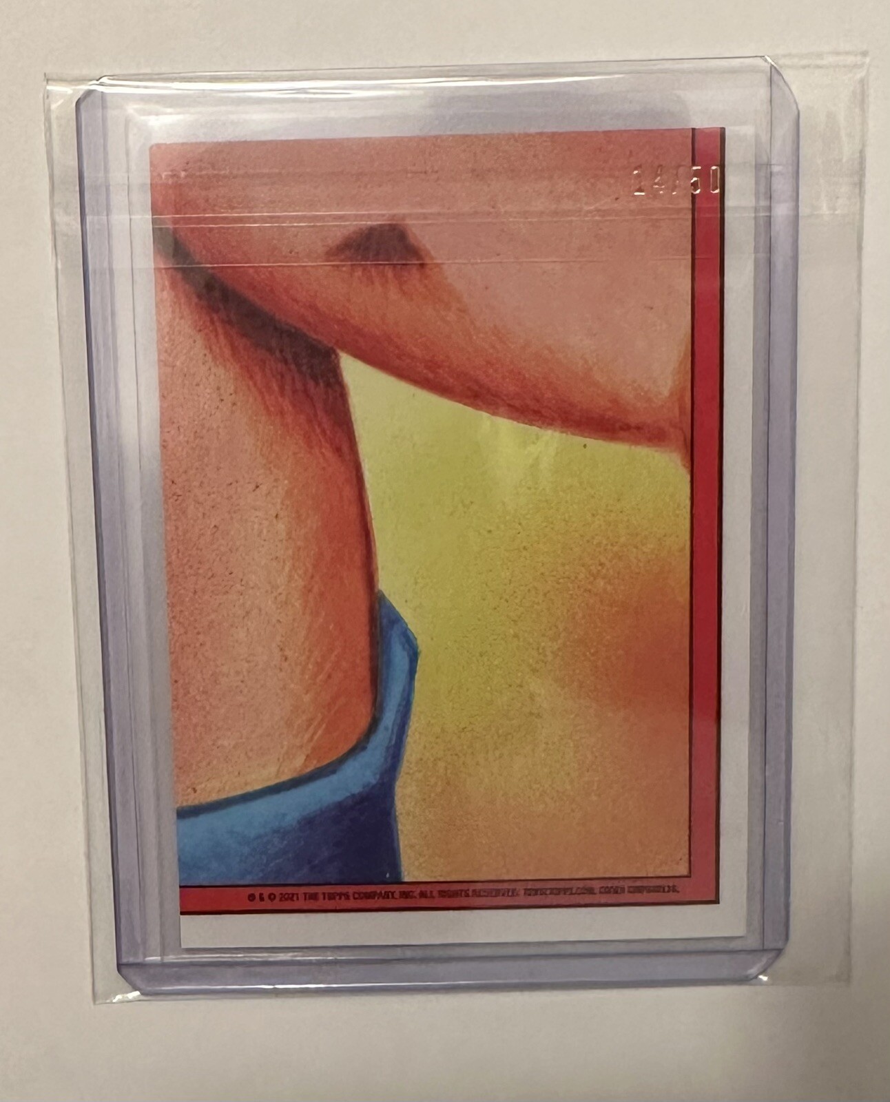 Foto 2 di 2