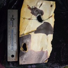 Purple And White Mookite Slab 14.11 Ounces. Uniform Beautiful Big Slab.