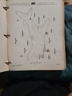 Picture 5 of 13
