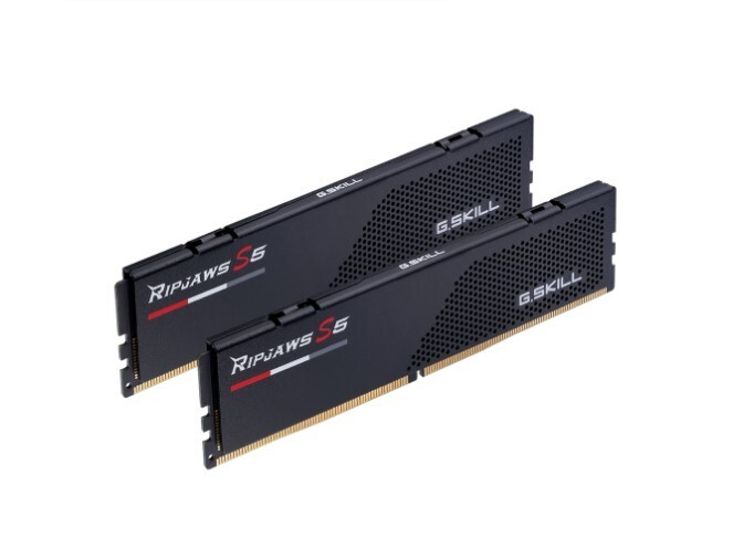 G.SKILL Flare X5 DDR5 48GB 5200MHz 2枚 G.SKILL Flare X5 Series (AMD Expo) DDR5 RAM 48GB (2x24GB