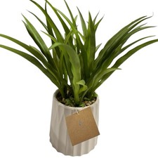 Faux Fake Green Spike Plant Decor White Minimalistic Ceramic Pot WP66Q
