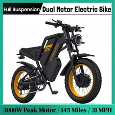 Dual Motor Electric Mountain Bike Peak 3000w E Bike Fat Tire E Motorcycle Bike