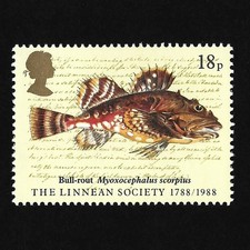 FISH : QEII 18p. Bicentenary Linnean Society, Sea Scorpion stamp MNHSG1380