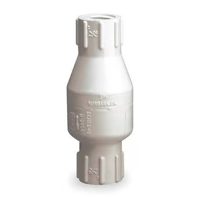 Dayton 4Rg69 2'' Fipt Pvc Spring Check Valve