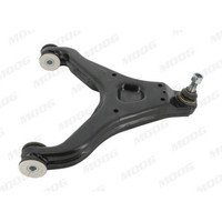 Lenker RadaufhäNgung Moog FI-WP-4969 FüR Alfa Romeo Fiat Iveco Lancia Unten