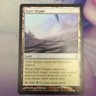 Magic The Gathering Worldwake Sejiri Steppe  142/145
