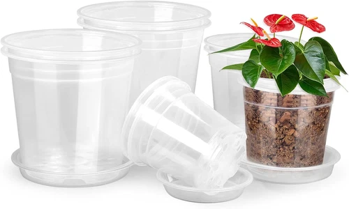 8/7/6/5/4 Inch Clear Nursery Pots with Drainage and Saucers, 10 Pack Clear Pots - Picture 1 of 12