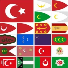 Ottoman Empire Flag Aydinids Zulfikar Army Turkish TRWT War Faithful Caliph
