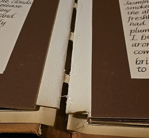 Vintage Handwritten Handbound Book Ode To Coffee Illustrated Calligraphy - Picture 5 of 11