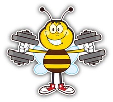 Happy Bee Training Gym Car Bumper Sticker Decal