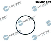Dr.Motor Automotive Dichtung, Kraftstoffpumpe U.A. FüR CitroËN, Ford, Ford USA