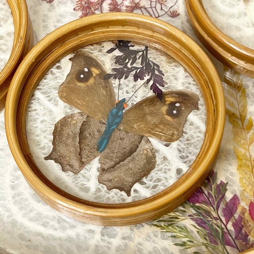 Vintage MCM Pressed Butterfly Bamboo Tray & Coaster Set 6 Pieces - Picture 2 of 13