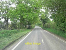 Photo 6x4 Sponden Lane west of Alderden Manor Farm Field Green  c2013