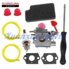 Carburetor For McCulloch Blower MAC GBV325 M325 M320 MC200VS W/ Air Filter Tool