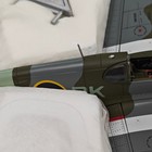 Eagles International 1:48 Diecast #10007 Mustang III RAF Deblinski Squadron — photo 8