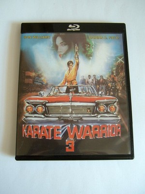 Karate Warrior 3