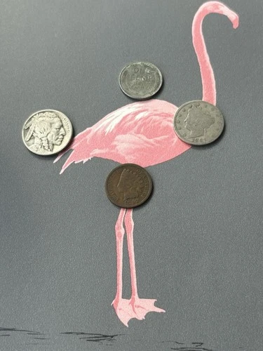 U.S. Coin Lot! Indian Head Cent Wheat Penny Liberty V & Buffalo Nickel. FREE S&H