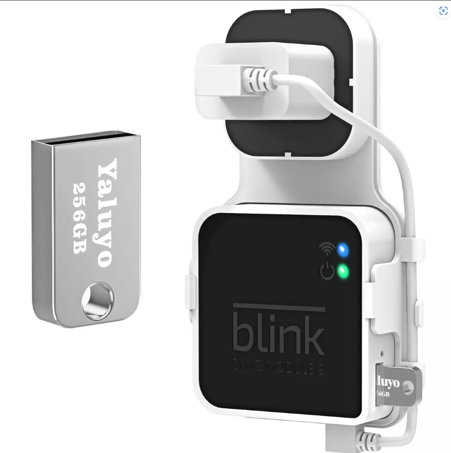256GB USB Flash Drive and Outlet Wall Mount for Blink Sync Module 2 save Space-image