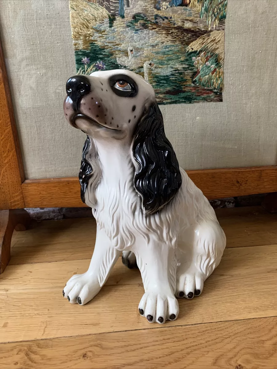 Large cocker cheap spaniel