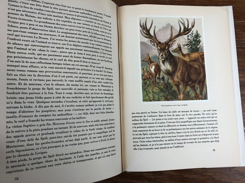 LE PARC NATIONAL SUISSE Editions SILVA ZURICH (1949) bel état - Picture 4 of 6
