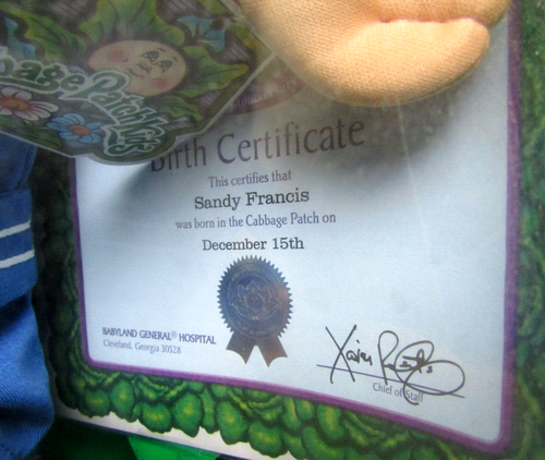Jakks 16" Cabbage Patch Kids 25th Anniv. SANDY FRANCIS Doll MIB Fuzzy Hair Boy - Picture 3 of 4