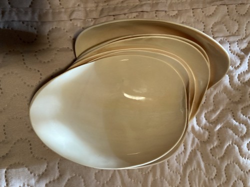 Conch Sea Shell Serving Bowl Saucers Plates Fork Spoon Real Shell - Picture 7 of 9