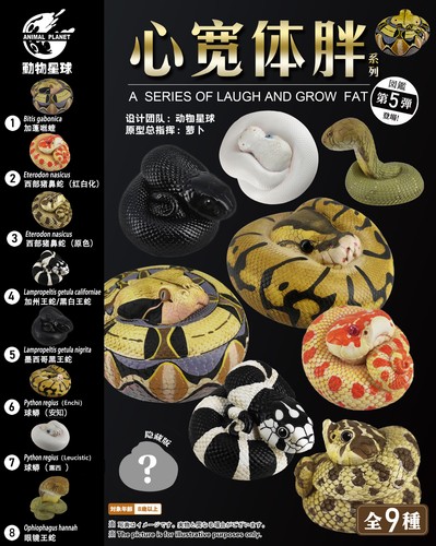 Animal Planet Laugh and Grow Fat 05 Snake Reptiles Animal Blind Box Figure Model - 第 1/14 張圖片