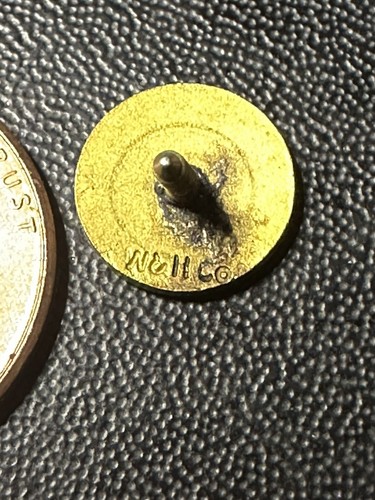 APhA Pin American Pharmacists Association Vintage Very Small Screw-Back - Picture 3 of 4