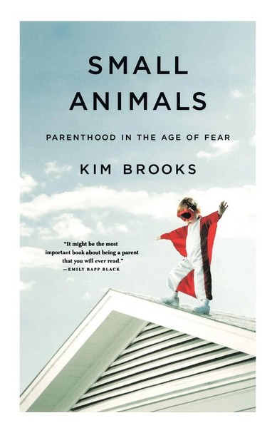 Small Animals | Kim Brooks | Taschenbuch | Kartoniert / Broschiert | Englisch-image