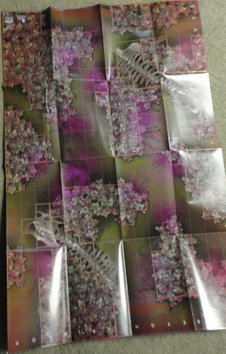 DC Heroclix & Miniatures Battle Map Ysamault Indoor/Black Mercy Outdoor 1 1/2'' 