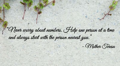 Mother Teresa Help One Person Wall Quote Vinyl Sticker Decal (d)
