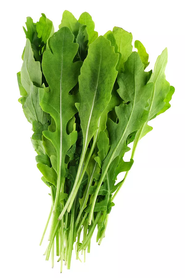 Roquette - Arugula