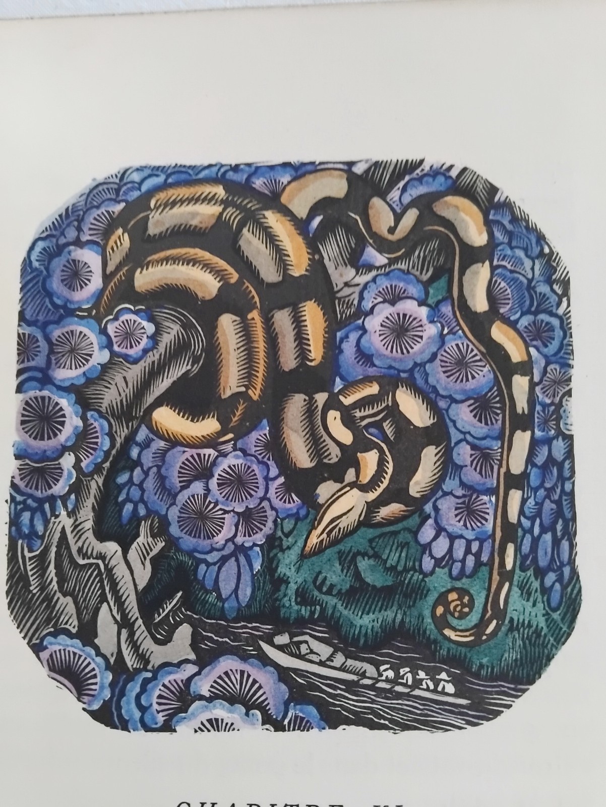 Picture 1 of 12