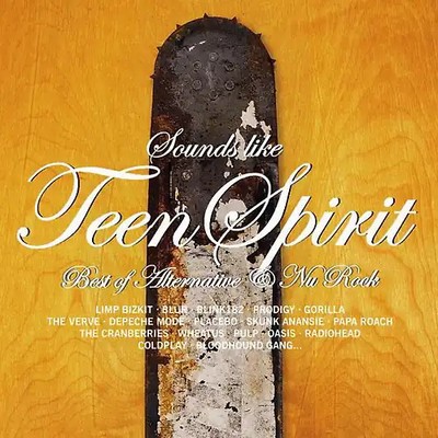 Various - Teen Spirit