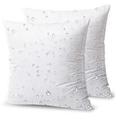 16x16 Pack of 2 Water Resistant Pillow Inserts Hypoallergenic for Indoor Outdoor