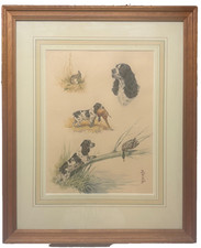 Vintage BORIS RIAB English Springer Spaniel HUNTING DOG Portrait Action PAINTING