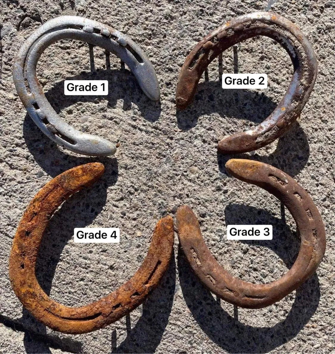 Horse Shoes, Ridden In The Rocky Mountains; Horse Shoe; Horseshoe;  Horseshoes