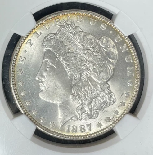 1887 MORGAN SILVER DOLLAR ~ NGC MS 64 ~BEAUTIFUL COIN~