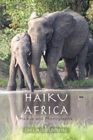 Joel H Go*Dstein | Haiku Africa | Taschenbuch | Englisch (2006) | iUniverse