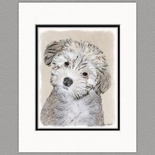 Havanese Puppy Dog Original Print 8x10 Matted to 11x14