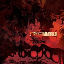 TORN-Immortal 3LP (2024, SAMURAI MUSIC, Drum ...