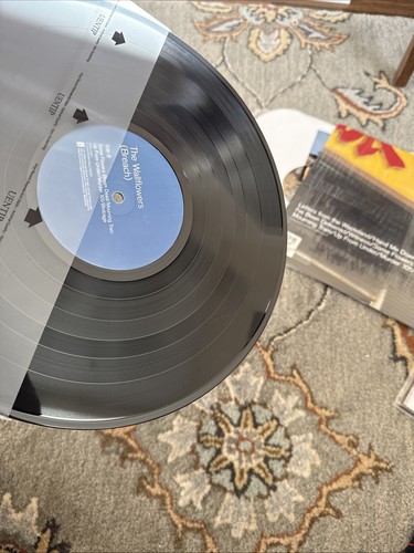 The Wallflowers, Breach, Original Analog, Jacob Dylan Schallplatte Vinyl, Top - Bild 8 von 12