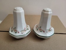 Johnson Brothers Eternal Beau Vintage 1980s Salt and Pepper Shakers Cruet Set
