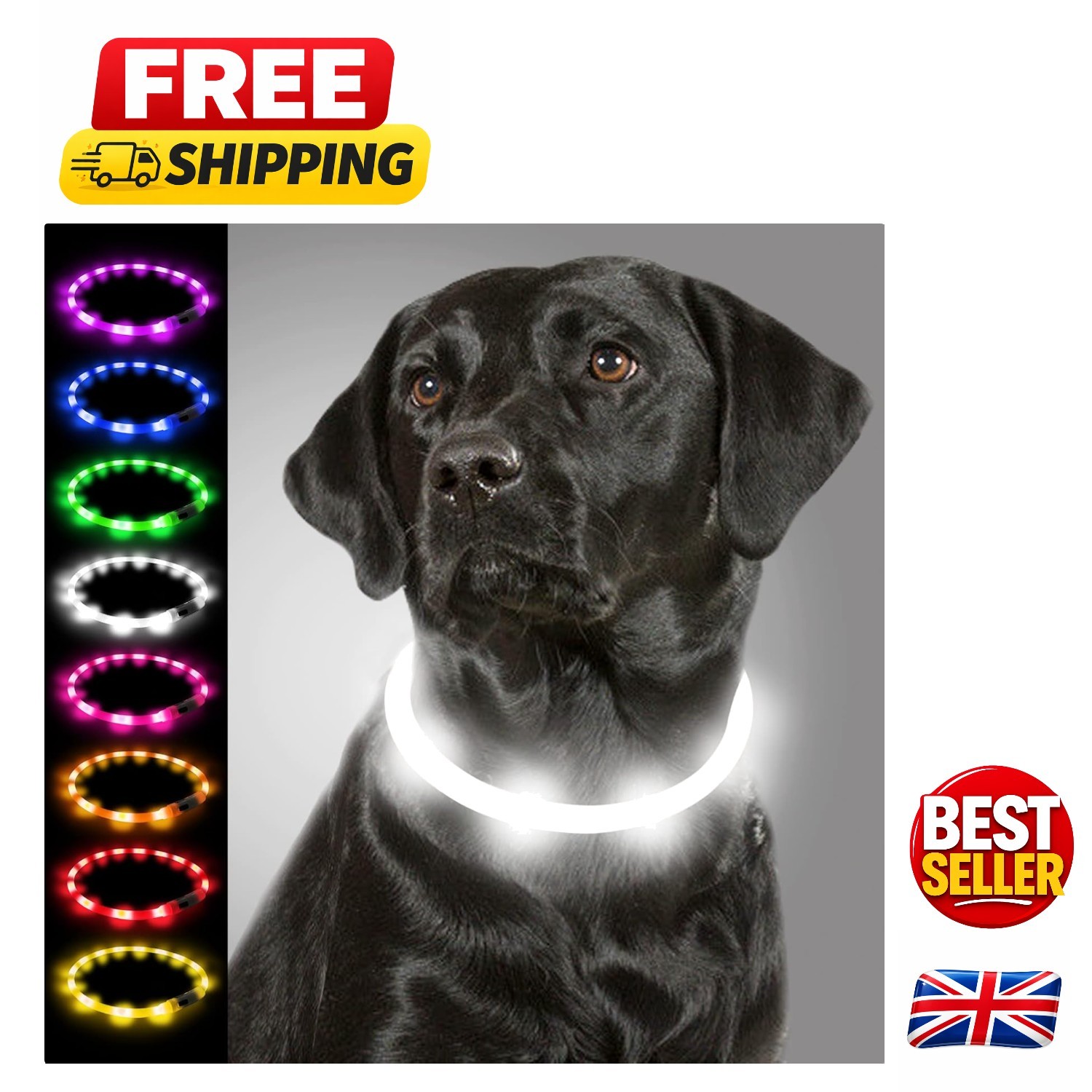 Rechargeable Glow Dog Collar with LED Light - High Visibility, All Sizes, White