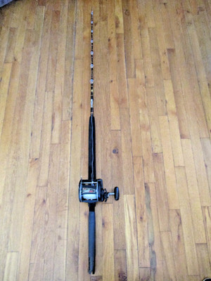 VTG Penn Casting Reel 345 GTI Graphite Big Game Fishing Reel & Tuna Stick Pole