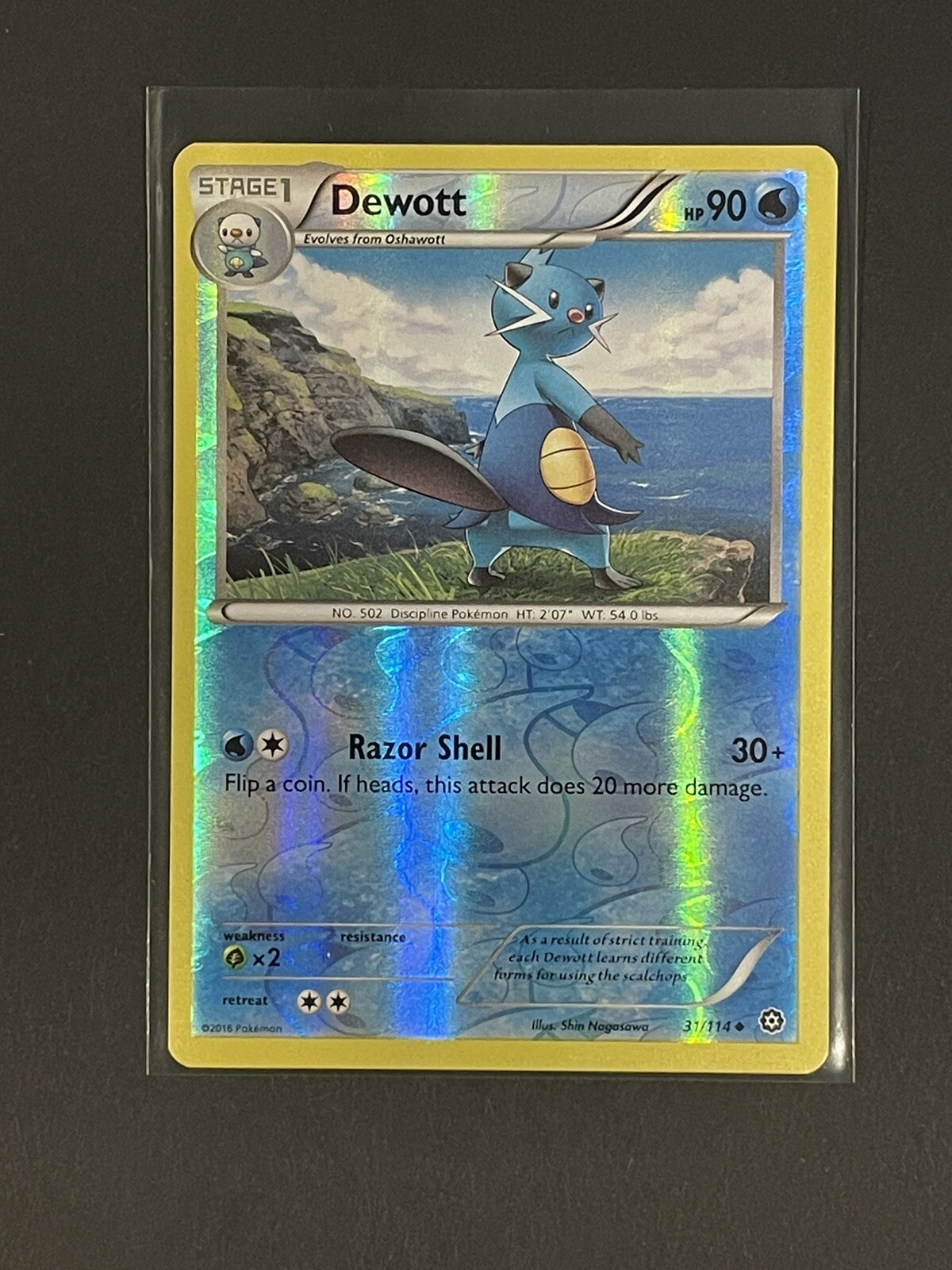 Dewott 31/114 Reverse Holo Uncommon - Steam Siege - Pokemon TCG NM+